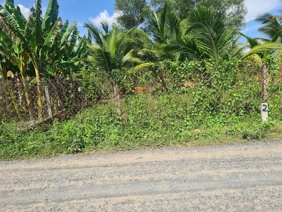 Đất nền Hẻm 25 Thái Bình, Châu Thành 114m² giá 400 triệu - Đầu tư sinh lời ngay!