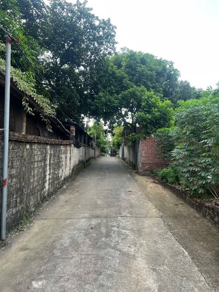 Đất nền Thụy Vân Việt Trì 118m² giá 1.168 tỷ - Tiềm năng phát triển mạnh mẽ!