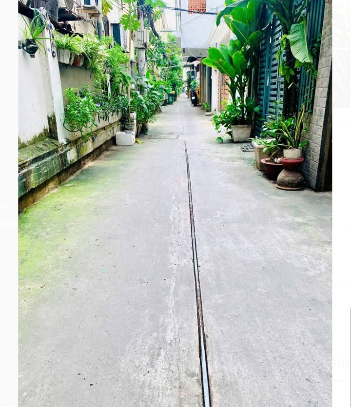 Nhà phố trung tâm Quận 3, 48m² giá 5.5 tỷ - Gần chợ và trường học!