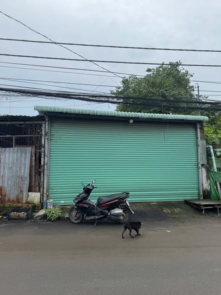 Nhà mặt tiền cho thuê tại Bình Trưng Đông, Q2 100m² giá 10 triệu/tháng - Vị trí đắc địa!