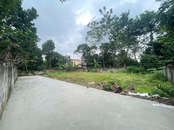 Đất Việt Trì 70m² giá 1 tỷ - Đầu tư sinh lời ổn định!