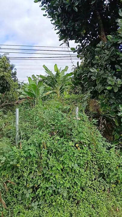 Đất thổ cư 180m² tại Quốc lộ 14, Đắk Hà - Giá chỉ 1 tỷ VND!