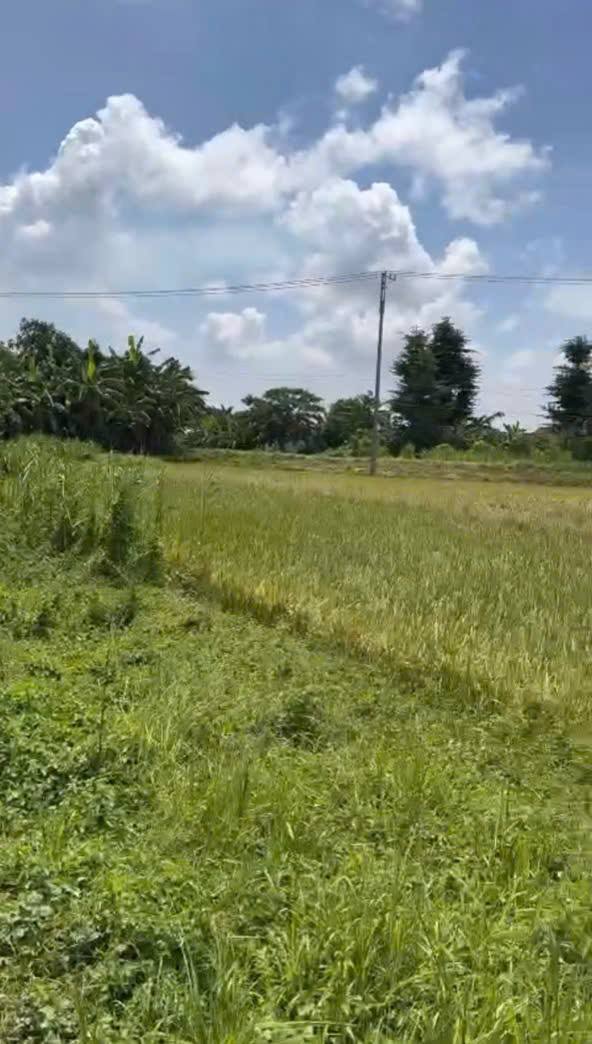 Đất nền 30.000m² tại An Châu, Châu Thành - Giá chỉ 3.3 tỷ - Cơ hội đầu tư tiềm năng!