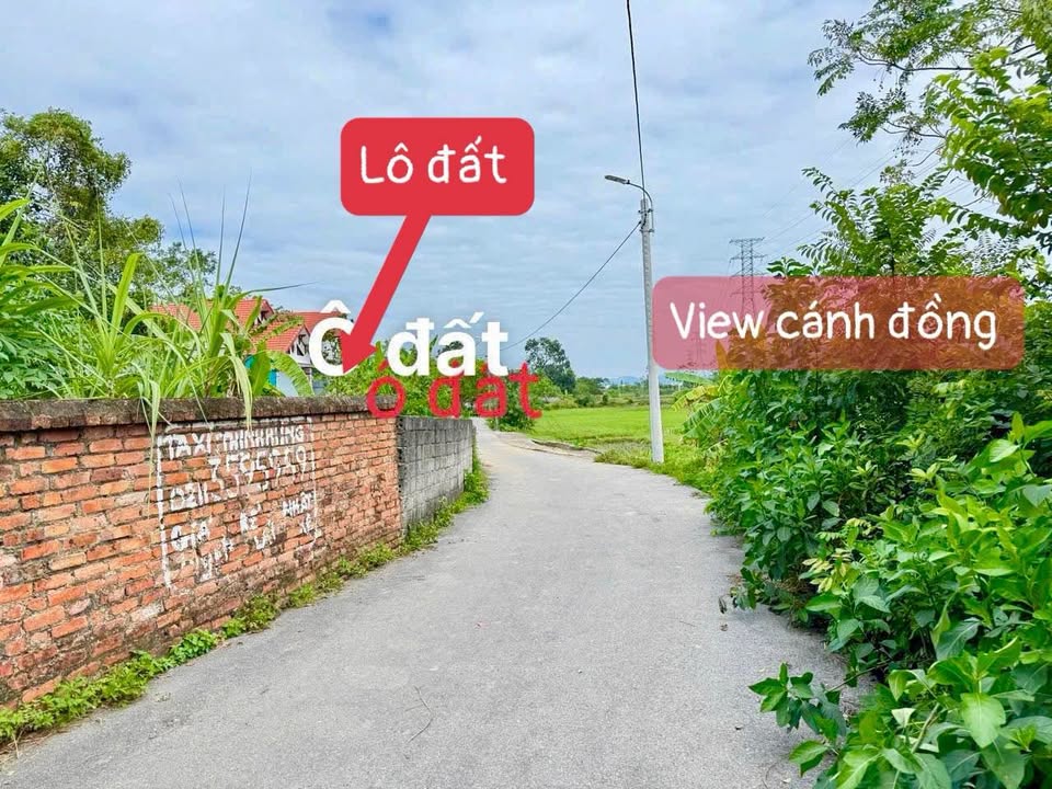 Đất nền Hương Sơn, Bình Xuyên 107m² giá 1.1 tỷ - Cơ hội đầu tư hấp dẫn!