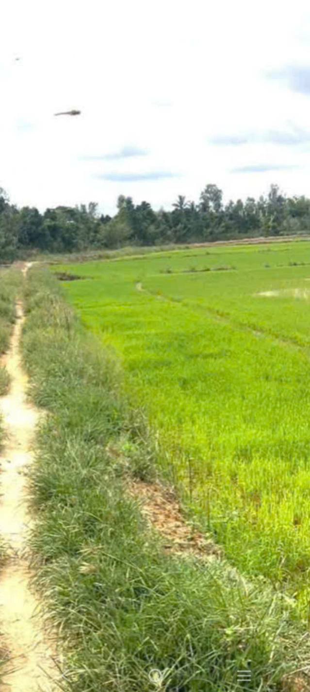 Đất vườn 17.000m² tại Phú Hiệp, Tam Nông, Đồng Tháp chỉ 1.445 tỷ - Đầu tư sinh lời ngay!