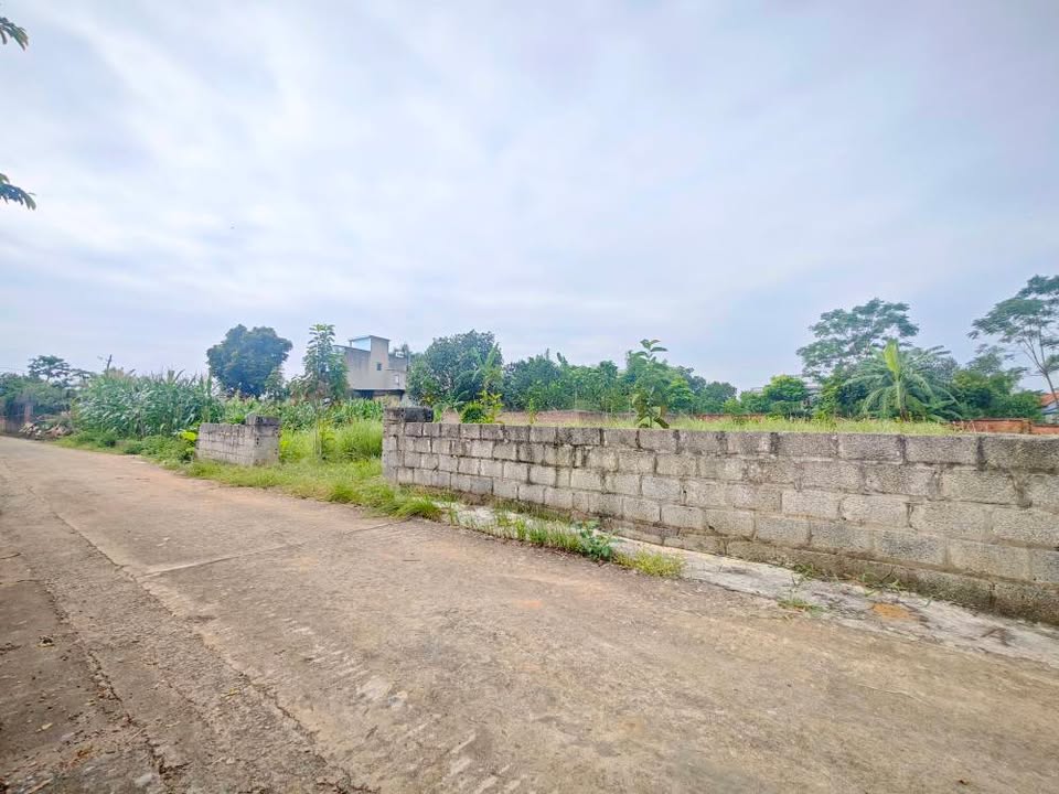 Đất nền Phú Cát Quốc Oai 522m² giá chỉ từ 1X triệu/m² - Cơ hội đầu tư sinh lời!