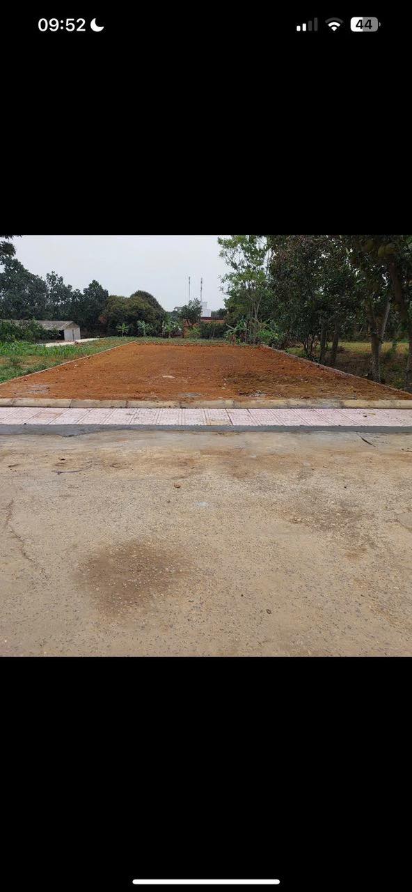 Lô Đất 200m² tại Thôn 3, Phú Cát, Quốc Oai - Giá Đầu Tư Hấp Dẫn!