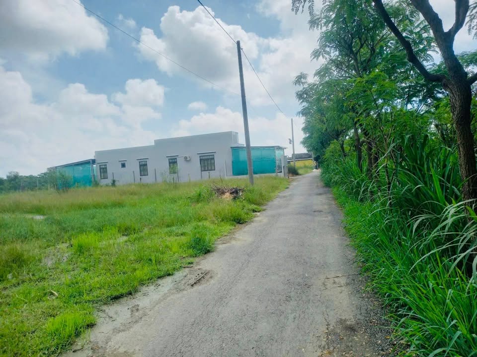 Đất nền mặt tiền Ruộng Cạn, Gò Công Đông, 160m² chỉ 440 triệu - Đầu tư sinh lời ngay!