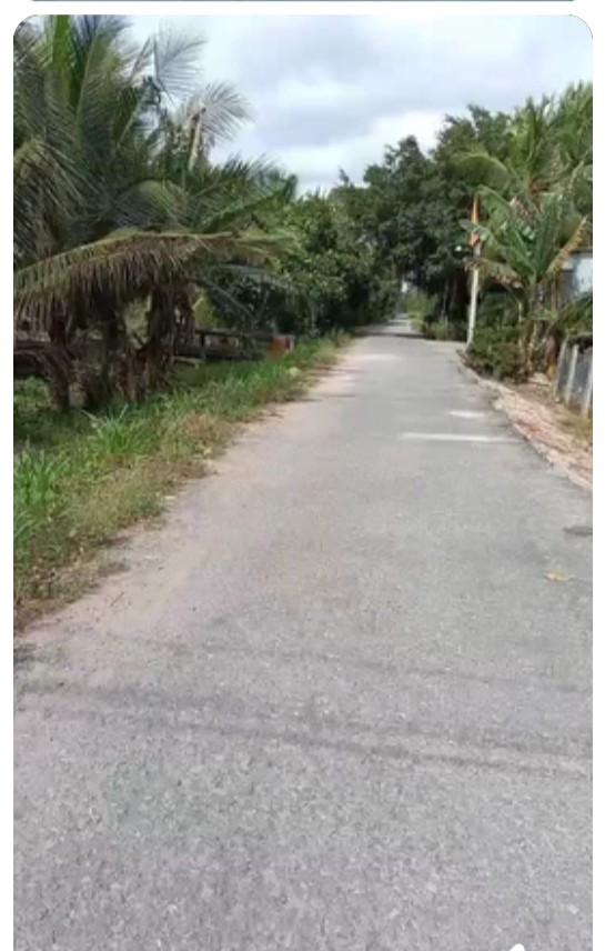 Đất dừa khô cho trái tại Tân Mỹ, Ba Tri - 5,5 công giá chỉ 1.705 tỷ!