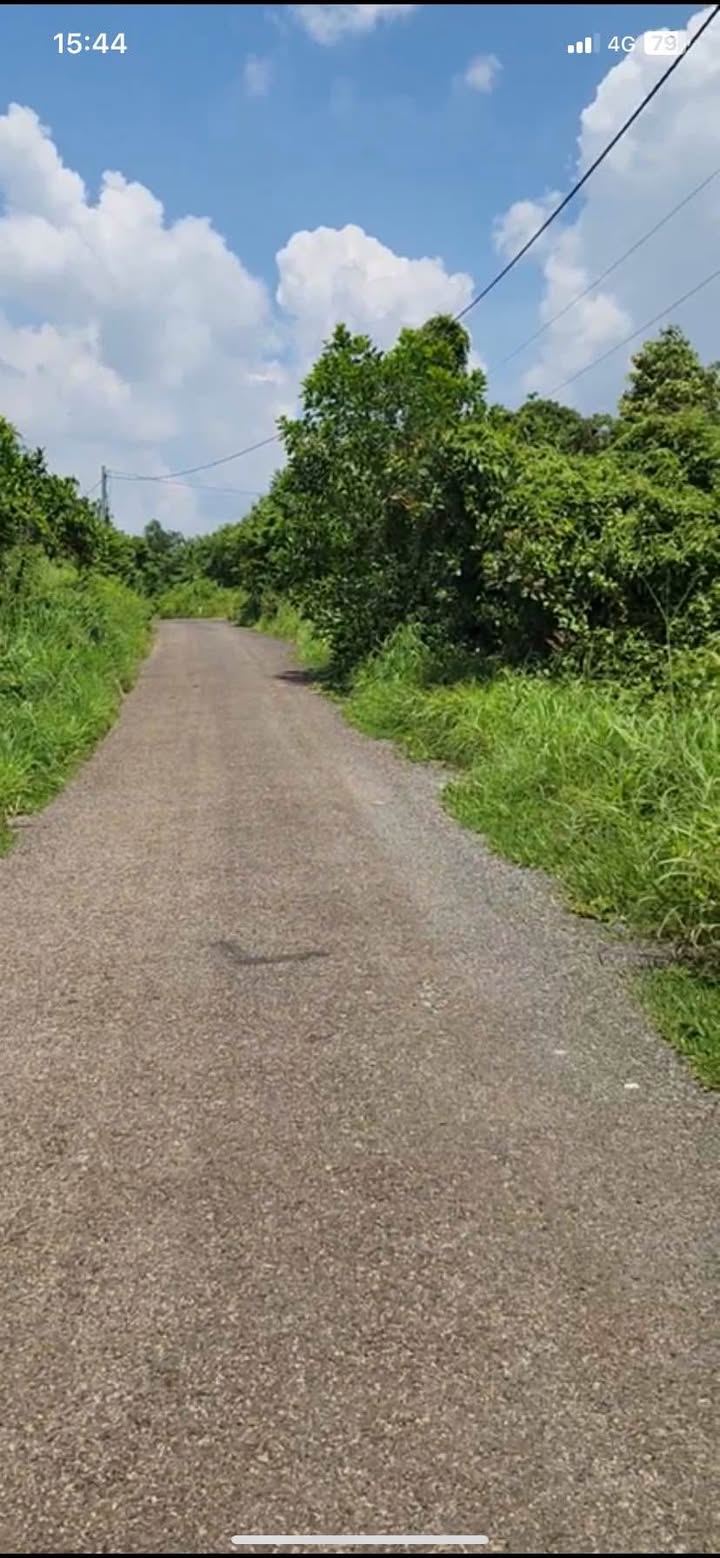 Đất nền Hòa Bình Xuyên Mộc 2000m² giá 2.5 tỷ - Sổ hồng chính chủ, đầu tư sinh lời!