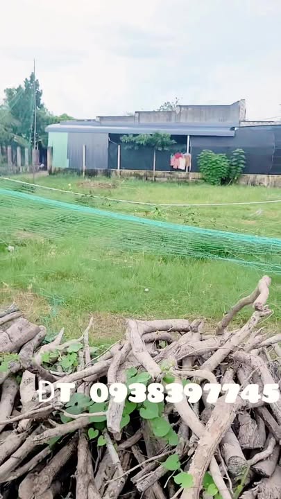 Đất thổ cư Bến Cầu Tây Ninh 198m² - Gần trung tâm xã, giá tốt!