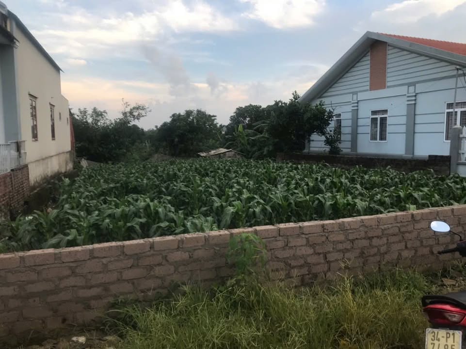 Đất nền Trần Hưng Đạo, Chí Linh, Hải Dương 390m² - Vị trí đẹp, giá chỉ 1 tỷ!