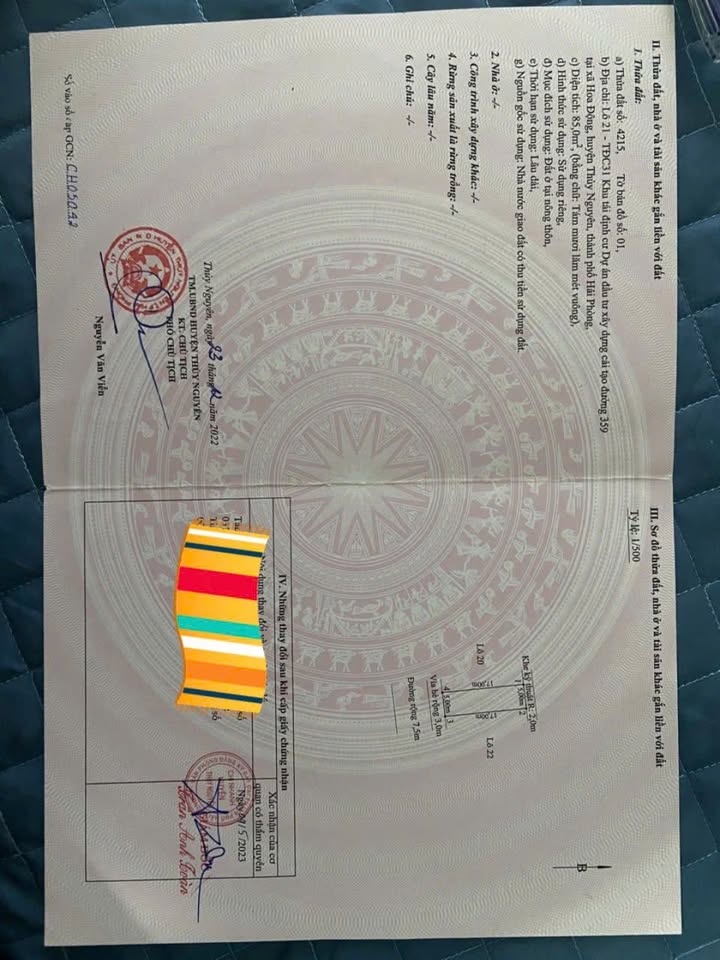 Đất nền Hoa Động Thủy Nguyên 85m² giá 5 tỷ - Đầu tư sinh lời bền vững!