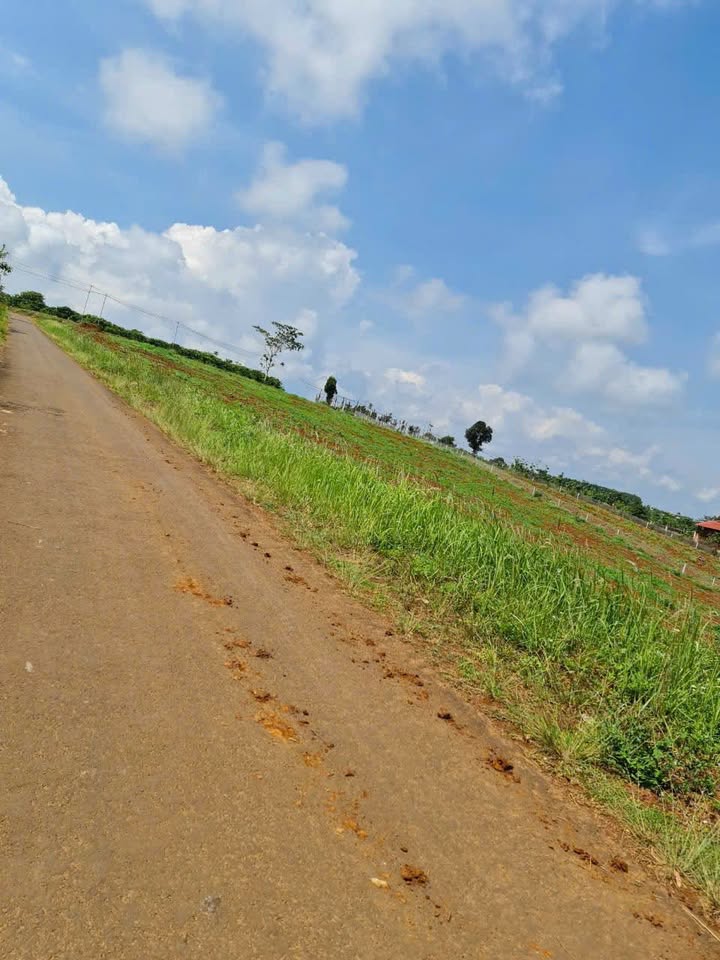 Đất nền Gia Nghĩa 500m² giá 450 triệu - Bán nhanh trong tuần!