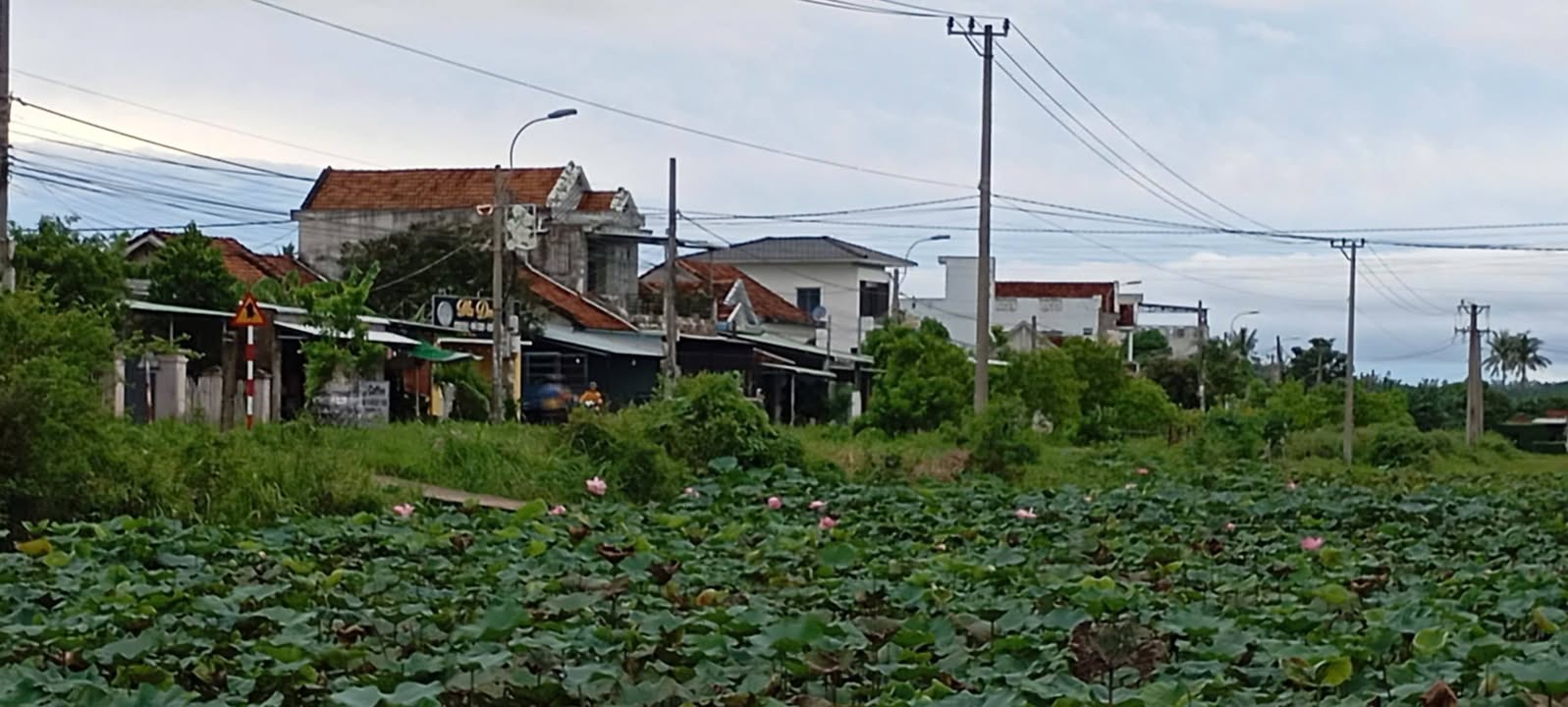 Đất nền Hòa Mỹ Đông, Tây Hòa 140m² giá 700 triệu - Vị trí đắc địa gần trung tâm