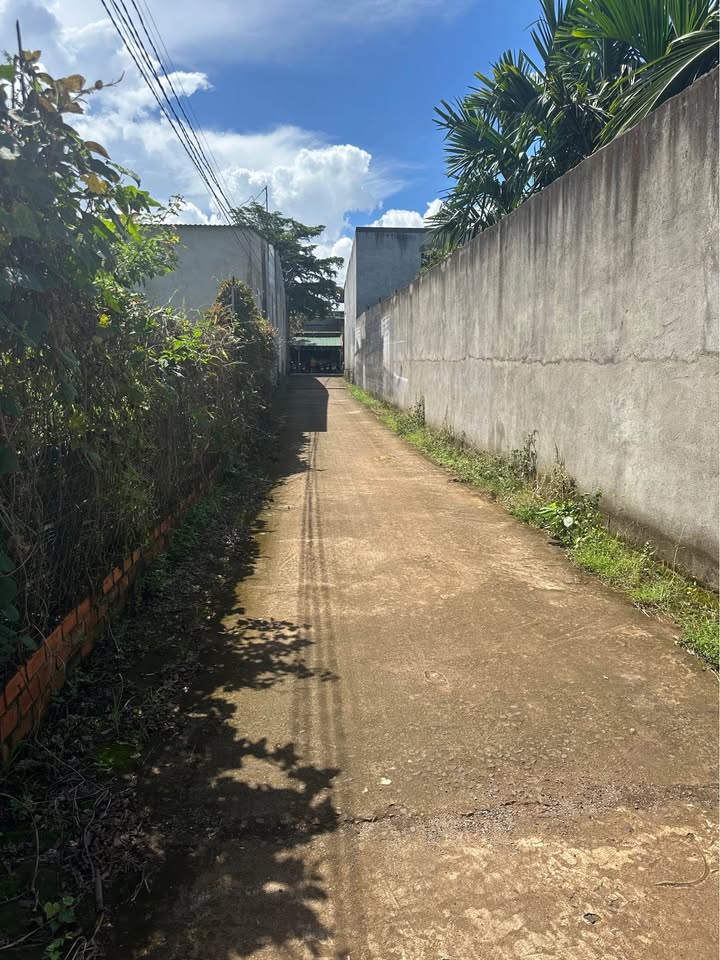 Đất nền Ea Kao 1000m² giá chỉ 230 triệu - Đầu tư sinh lời ngay lập tức!