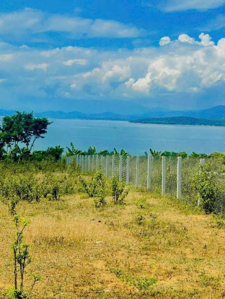 Đất nền Đức Bình Đông, Sông Hinh 1327m² - View hồ tuyệt đẹp, giá chỉ 800 triệu!