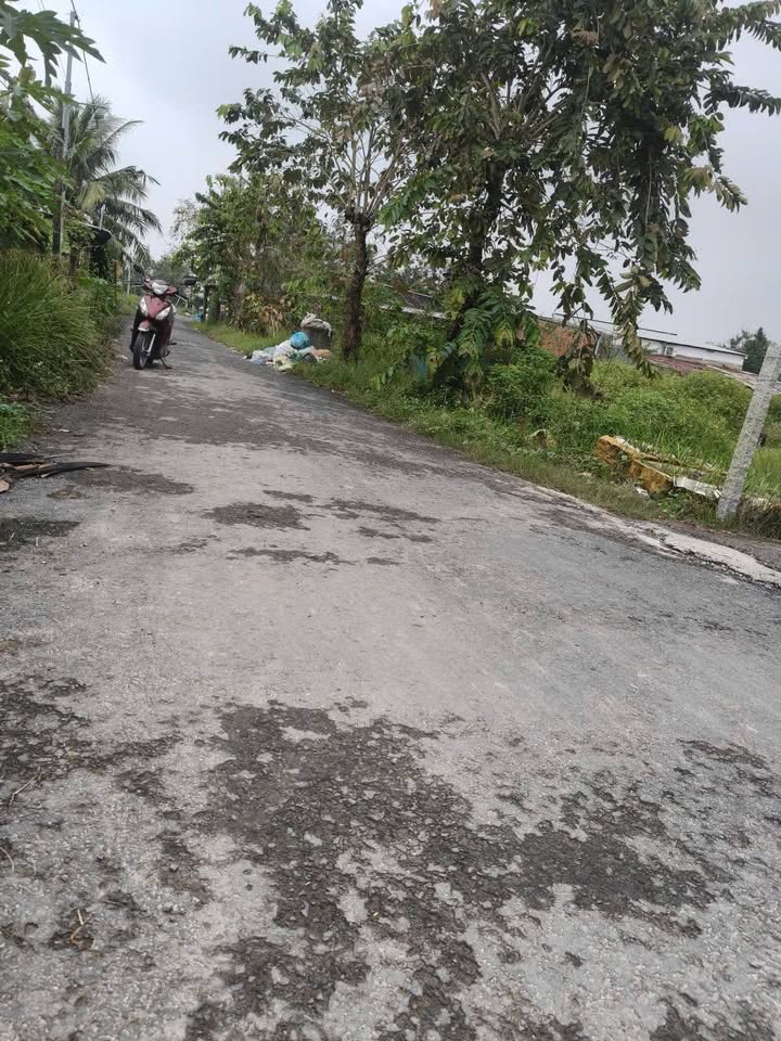 Đất nền mặt tiền lộ nhựa 5 tấn Phước Hậu, Vĩnh Long - Giá chỉ 550 triệu!