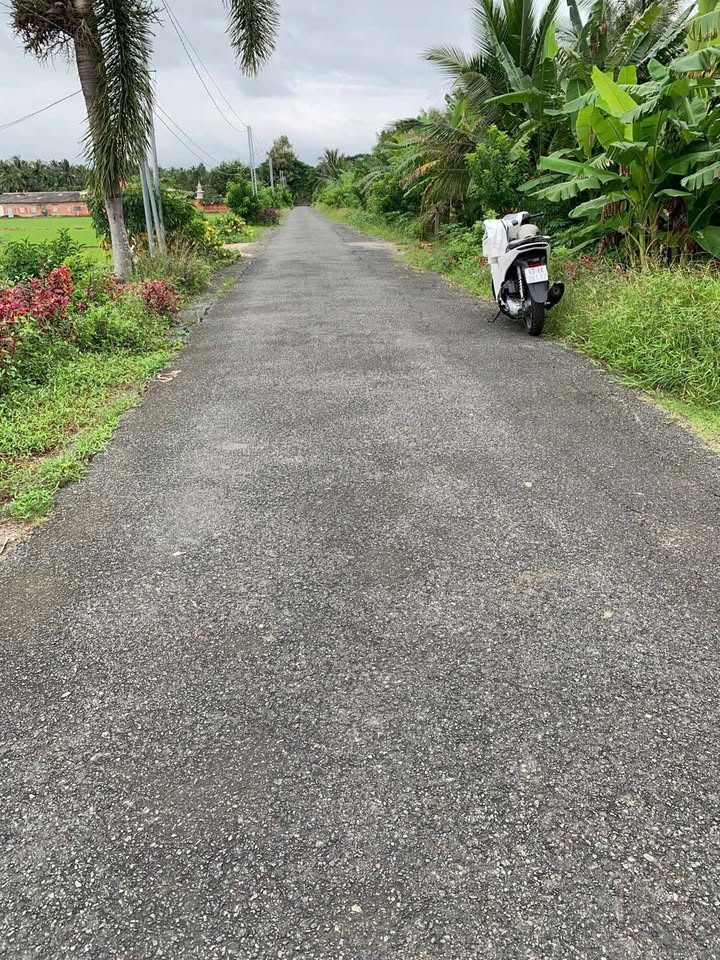 Đất nền thổ cư 800m² tại Long Đức, giá chỉ 600 triệu - Sổ hồng riêng chính chủ!