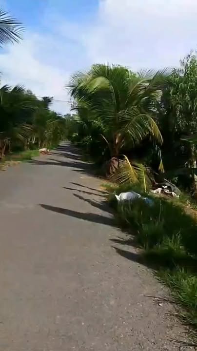 Đất nông nghiệp Nhơn Hòa, Tân Thạnh, Long An 10.000m² giá 2 tỷ - Đầu tư sinh lời ngay!