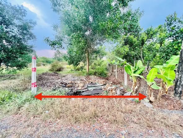 Đất nền Gò Dầu Tây Ninh 128m² giá 450 triệu - Sổ đỏ chính chủ, đường ô tô tới nơi!