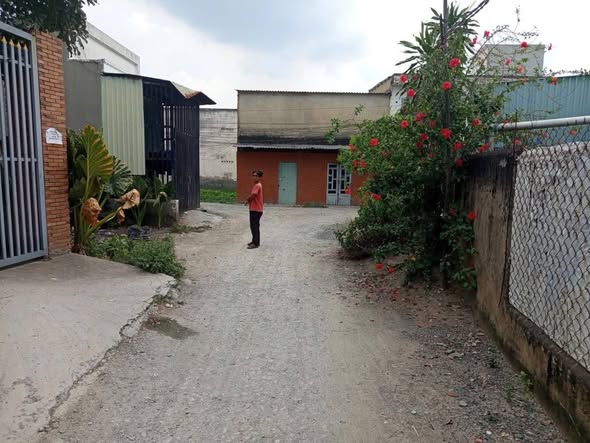 Đất thổ cư 120m² tại Ấp Bình Tiền 2, Đức Hòa - Giá 1.5 tỷ, sổ hồng chính chủ!