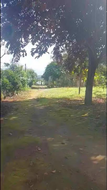 Cần bán nhà vườn đẹp tại Xã Hòa Phú, Chư Păh, Gia Lai - Diện tích 40.000m², giá 7.5 tỷ