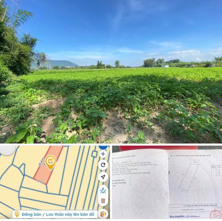 Đất vườn Cát Trinh, Phù Cát 525m² giá chỉ 125 triệu - Cơ hội đầu tư hấp dẫn!