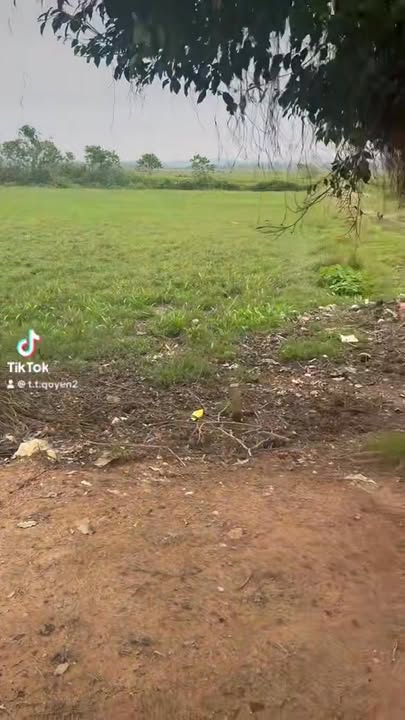 Đất nền Đức Đồng 330m² giá chỉ 600 triệu - Tiềm năng sinh lời cao!