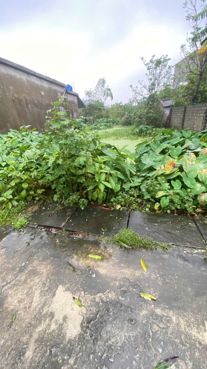 Đất nền Vĩnh Phong, Trần Phú, 219.1m² giá thỏa thuận - Khu dân cư sầm uất!