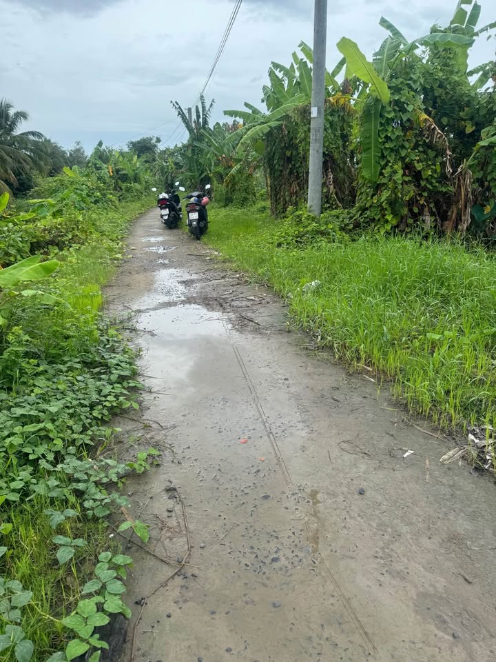 Đất nền 1400m² tại thị trấn Bảy Ngàn, Hậu Giang - Giá chỉ 800 triệu, thương lượng!