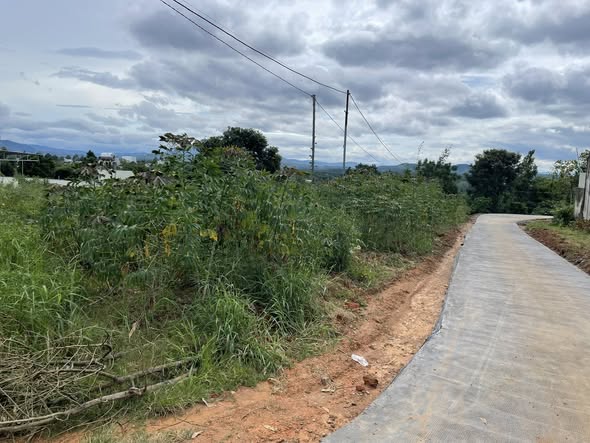 Đất nền lô góc hai mặt tiền đường Nguyễn Đình Chiểu, Đăk Hà 540m² - Cơ hội đầu tư giá tốt!