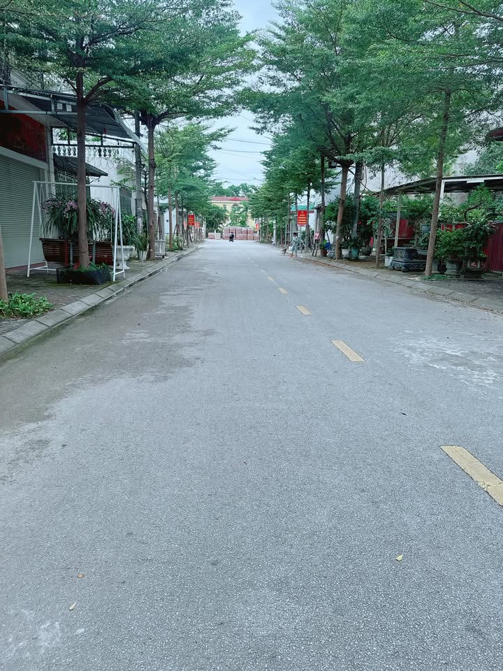 Đất nền Mạc Thị Bưởi, phường Sao Đỏ, 115m² giá 2 tỷ - Vị trí đắc địa trung tâm!