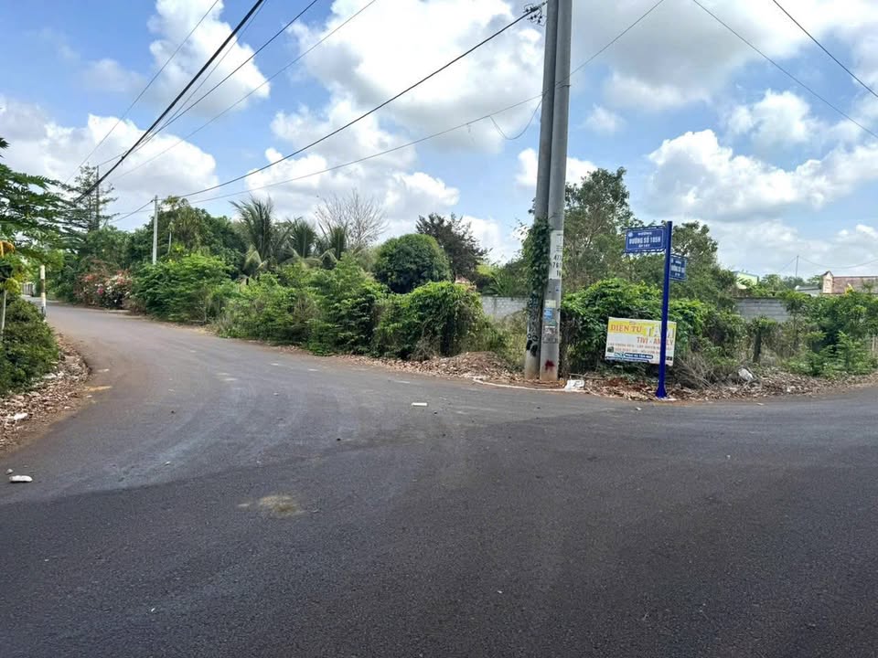 Đất thổ cư Long Phước Bà Rịa 1500m² giá 5.2 tỷ - Cơ hội đầu tư hấp dẫn!