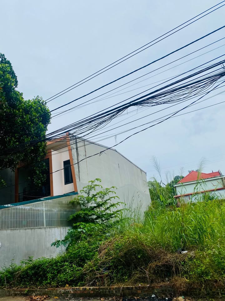 Đất trục chính Làng Bầu, Liên Bảo, Vĩnh Yên 93m² giá 2.7 tỷ - Tiềm năng kinh doanh lớn!