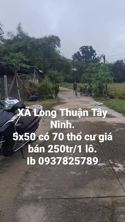 Đất nền liền kề Ấp Long Tân - 250 triệu/lô, pháp lý rõ ràng!