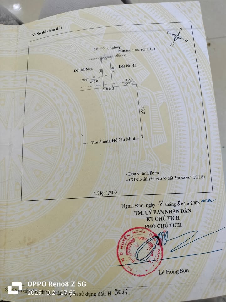 Đất đường mòn HCM Nghĩa Đàn 240m² giá 2.6 tỷ - Cơ hội đầu tư hiếm có!