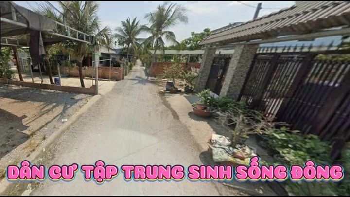 Bán đất Đường 159, Bình Mỹ, Củ Chi 507m² - Giá tốt, chính chủ cần bán gấp!