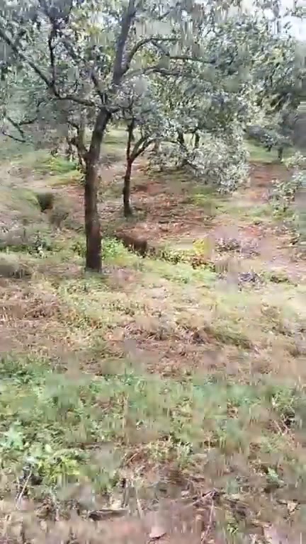 Đất nền Đồng Tâm Đồng Phú 35.000m² giá 5 tỷ - Mặt tiền đường bê tông