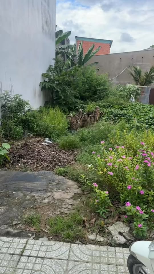 Nhà mặt tiền đường Đoàn Giỏi, Mỹ Tho 63m² giá 1.79 tỷ - Vị trí thuận lợi gần trường chuyên!