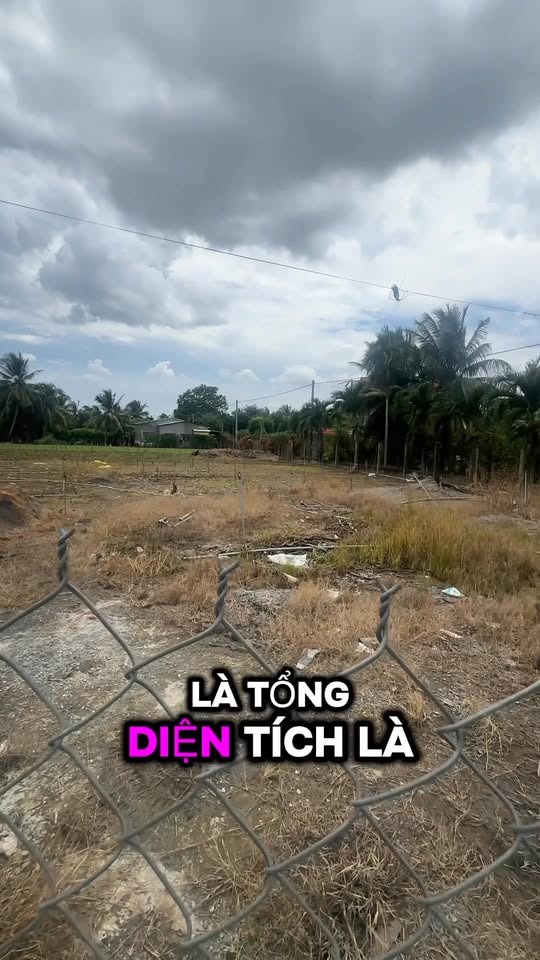 Đất nền mặt tiền Quốc lộ 1A, Nhị Bình, 2220m² giá 21.48 tỷ - Cơ hội đầu tư hiếm có!