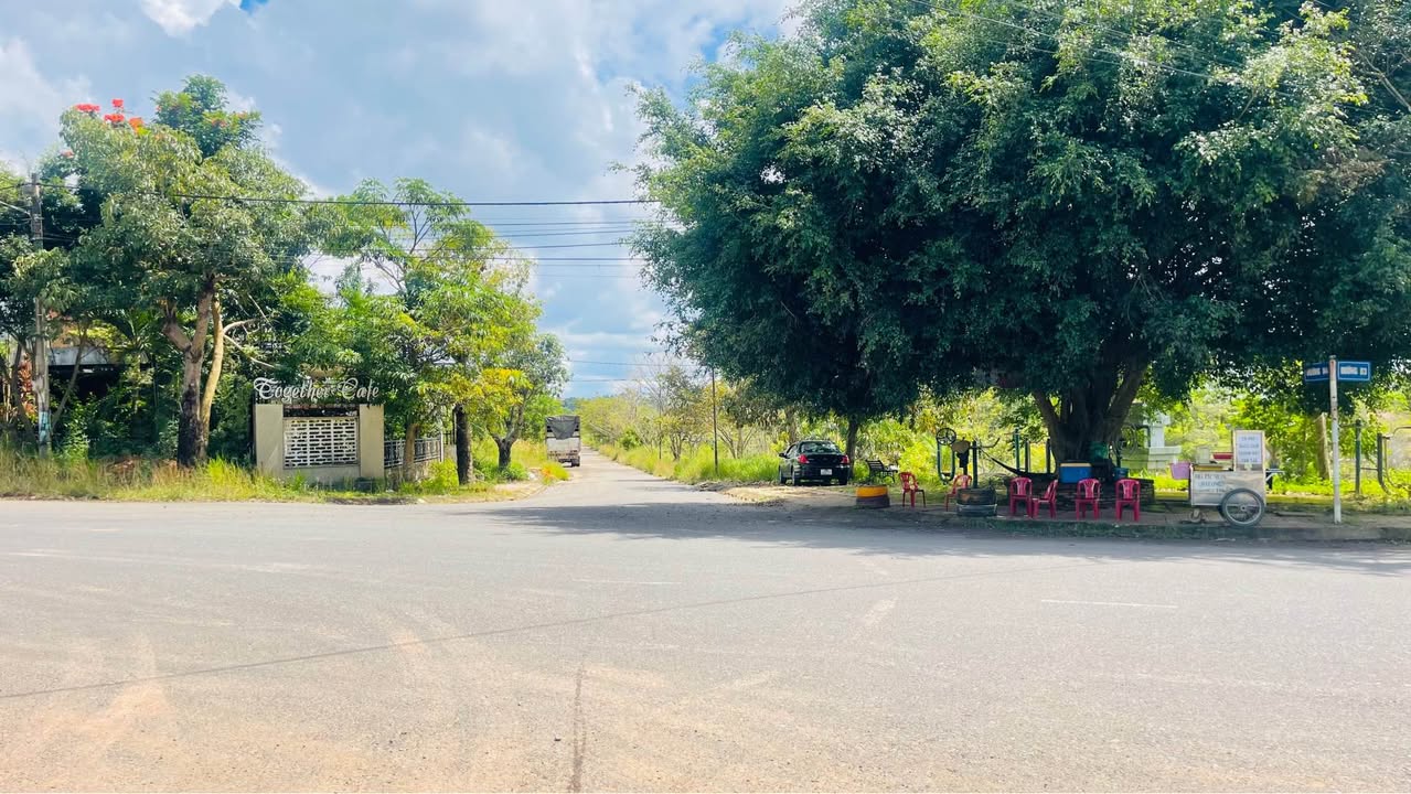 Đất nền Khu dân cư Bảo Lộc Capital, Phường Lộc Sơn, 100m² giá chỉ 1.55 tỷ - Sổ đỏ chính chủ!