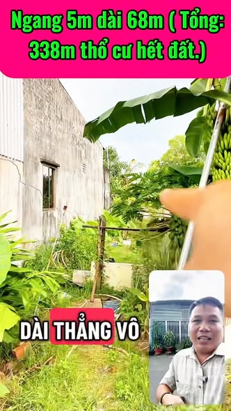 Đất thổ cư 338m² tại xã Tân An Hội, Củ Chi - Giá chỉ 5 tỷ thương lượng!