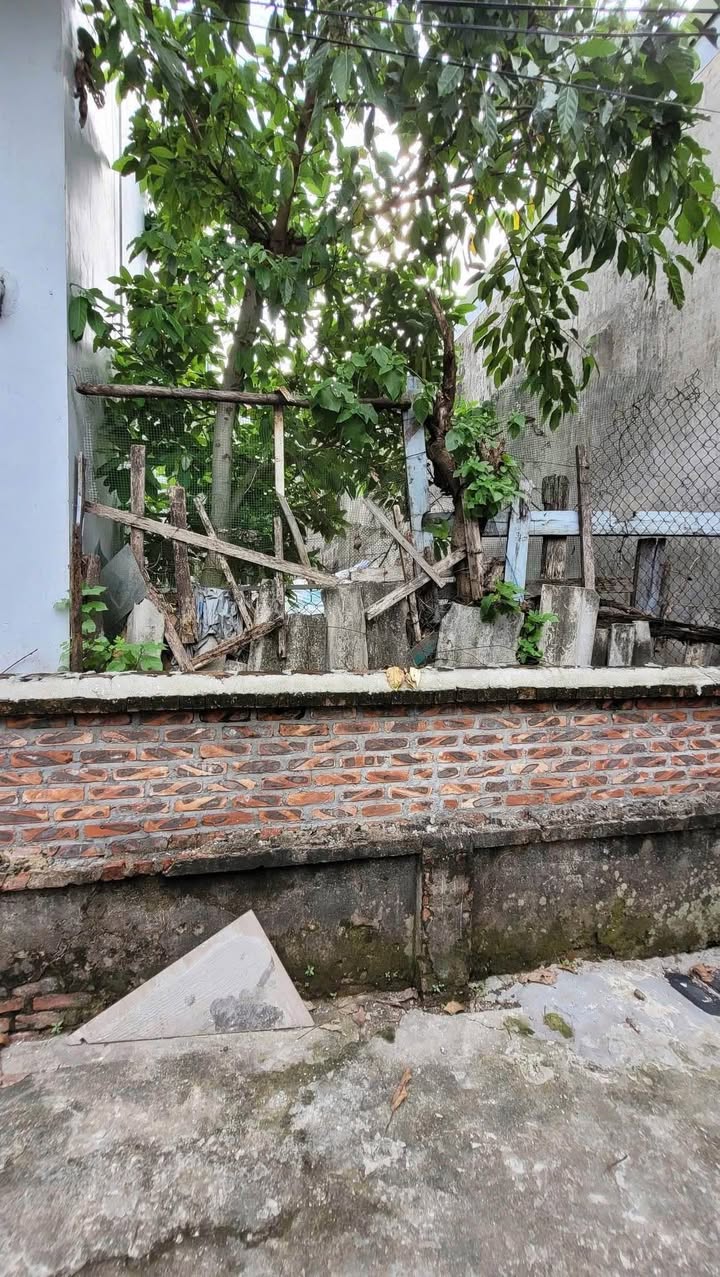 Đất Thị Trấn Văn Điển 45.2m² giá 6 tỷ - Sổ đỏ vuông đẹp, đường rộng 2.5m!