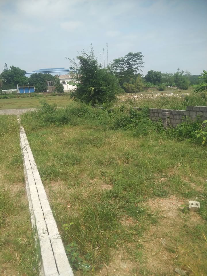 Đất nền Cư Yên, Lương Sơn 121m² giá chỉ 850 triệu - Đầu tư sinh lời ngay!