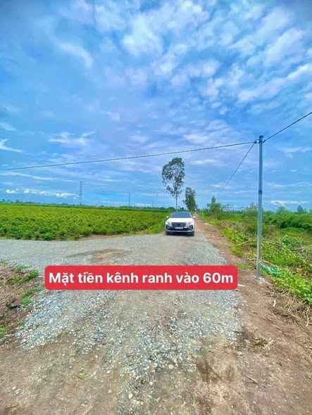 Đất vườn Bến Lức 590m² giá 390 triệu - Cơ hội đầu tư tuyệt vời!