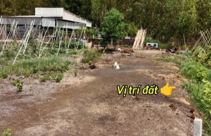 Đất nền xã Hưng Thịnh 987m² giá 750 triệu - Sổ hồng riêng, vị trí đẹp!