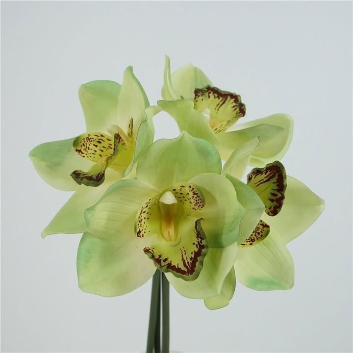 Đất mặt tiền đường 3/2 xã Long Hải 470m² giá 8.5 tỷ - Sẵn sàng tách thửa