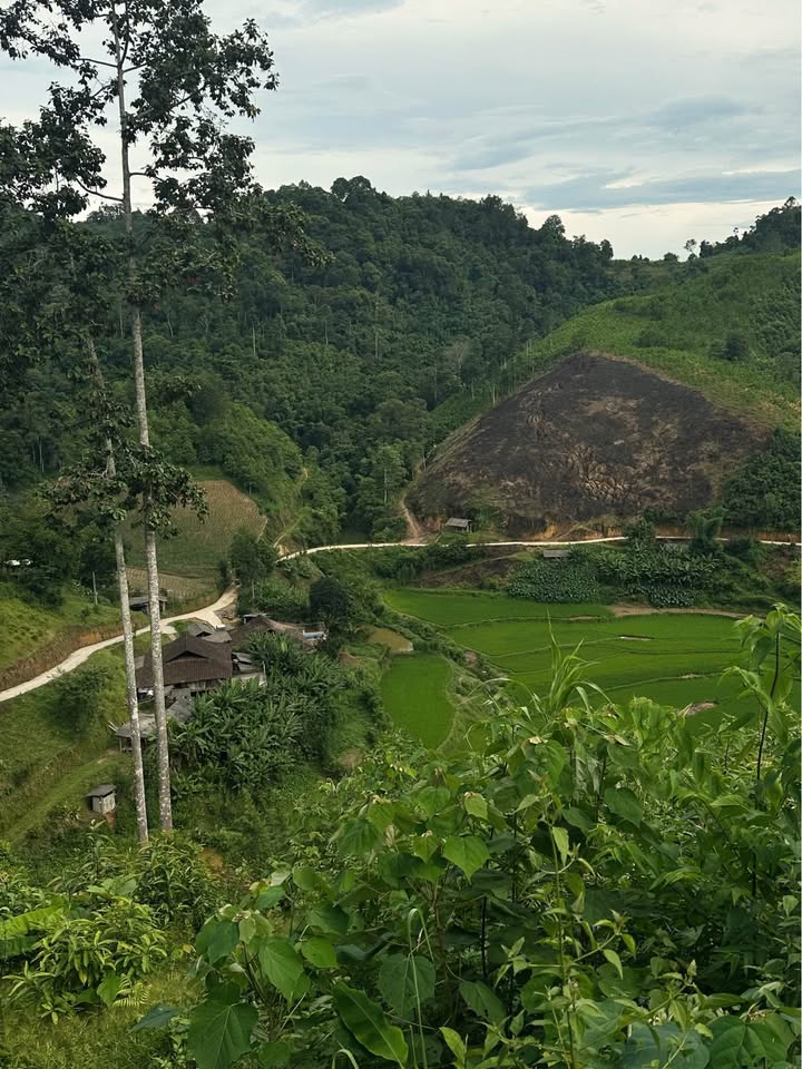 Farm 2,2ha tại Đổng Xá, Na Rì - Đã trồng mỡ, giá thỏa thuận