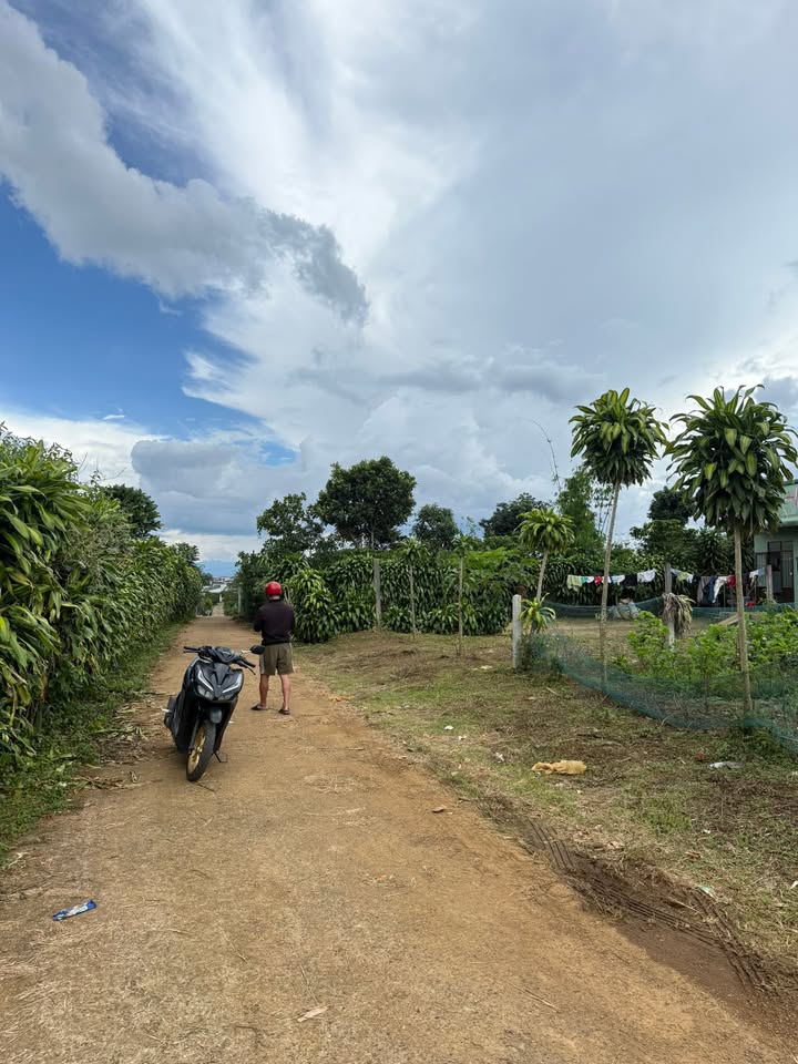 Đất nền Bảo Lộc 100m² giá 1.7 tỷ - Đầu tư sinh lời hấp dẫn!